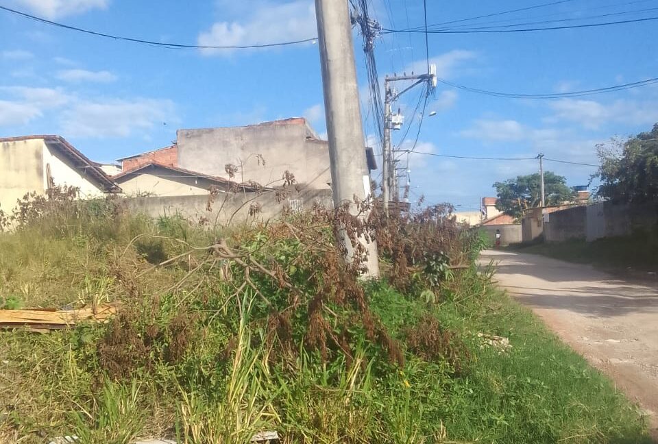 Foto do terreno da Érica 2